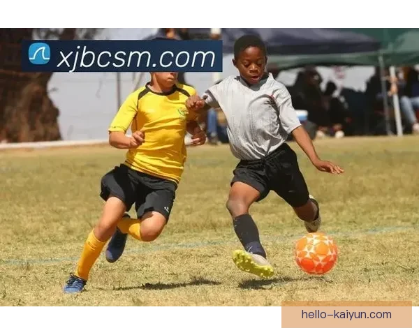 开云体育全站平台：畅享全球赛事直播与体育资讯一站式服务