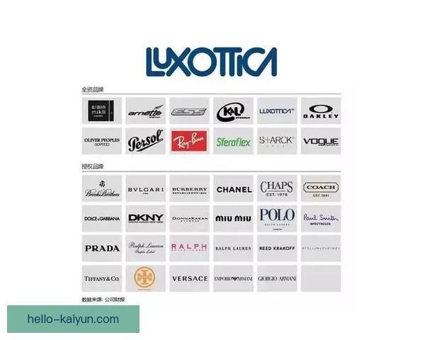 开云入口：探索全球奢侈品牌背后的创新与未来发展趋势