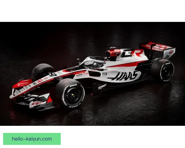 F1赛季最新战报揭秘车队策略与车手争锋精彩瞬间