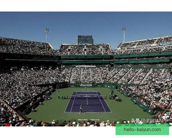 世界网坛最新动态焦点赛事明星球员表现与未来格局深度解析趋势观察