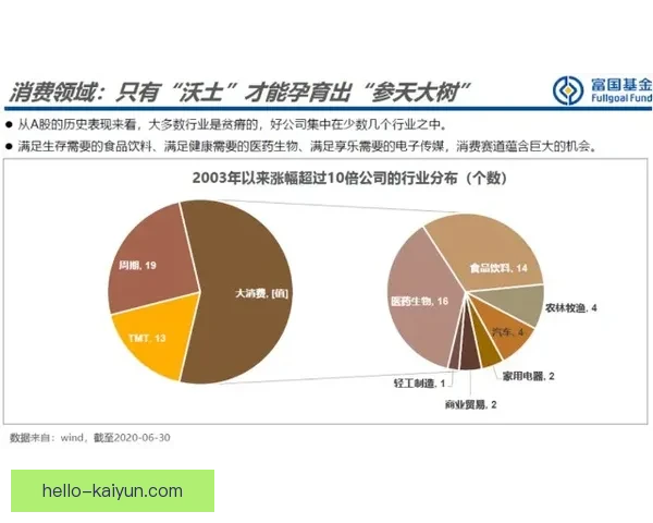 雷恩俱乐部精彩瞬间回顾与未来发展战略全解析